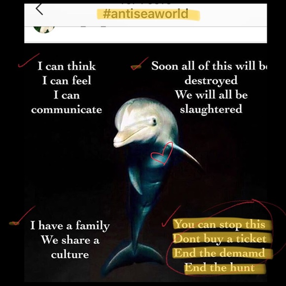 Bundle discount available! Say NO to SeaWorld! - Picture 6 of 8